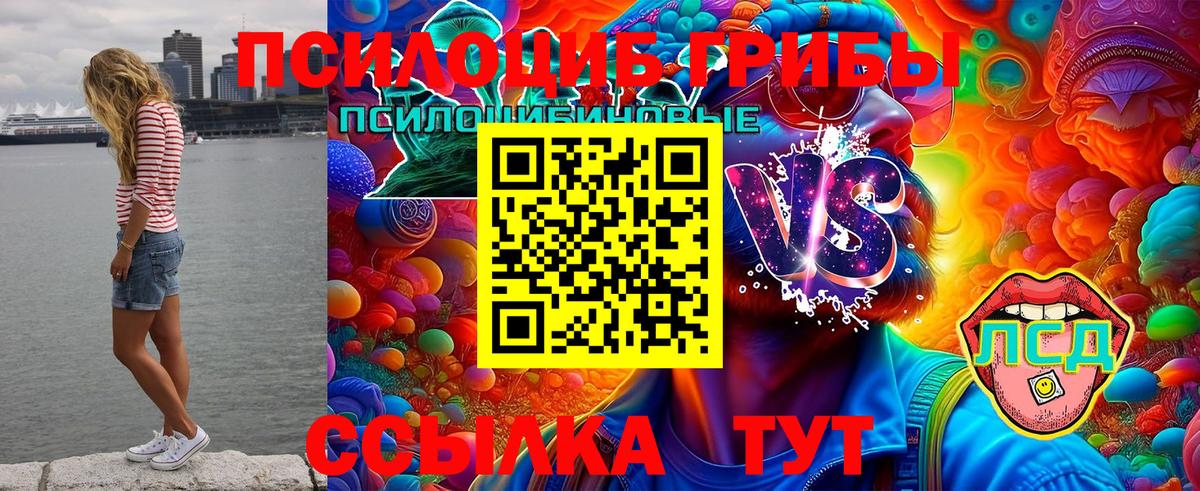 как найти закладки  Псилоцибиновые грибы GOLDEN TEACHER  Галлюциногенные грибы Psilocybine cubensis  Вход с VPN  Кингисепп 